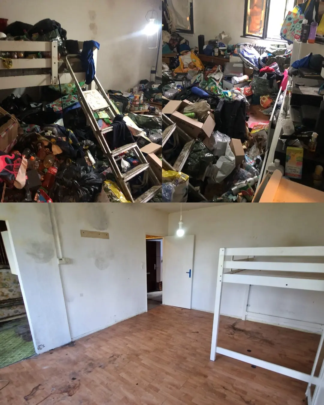 wohnungsaufloesung-steglitz-zehlendorf Messiwohnung wurde geräumt